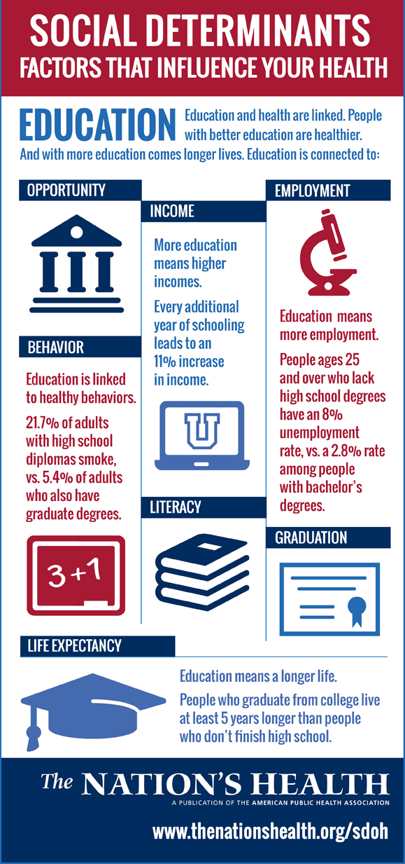 Education infographic social determinants of health